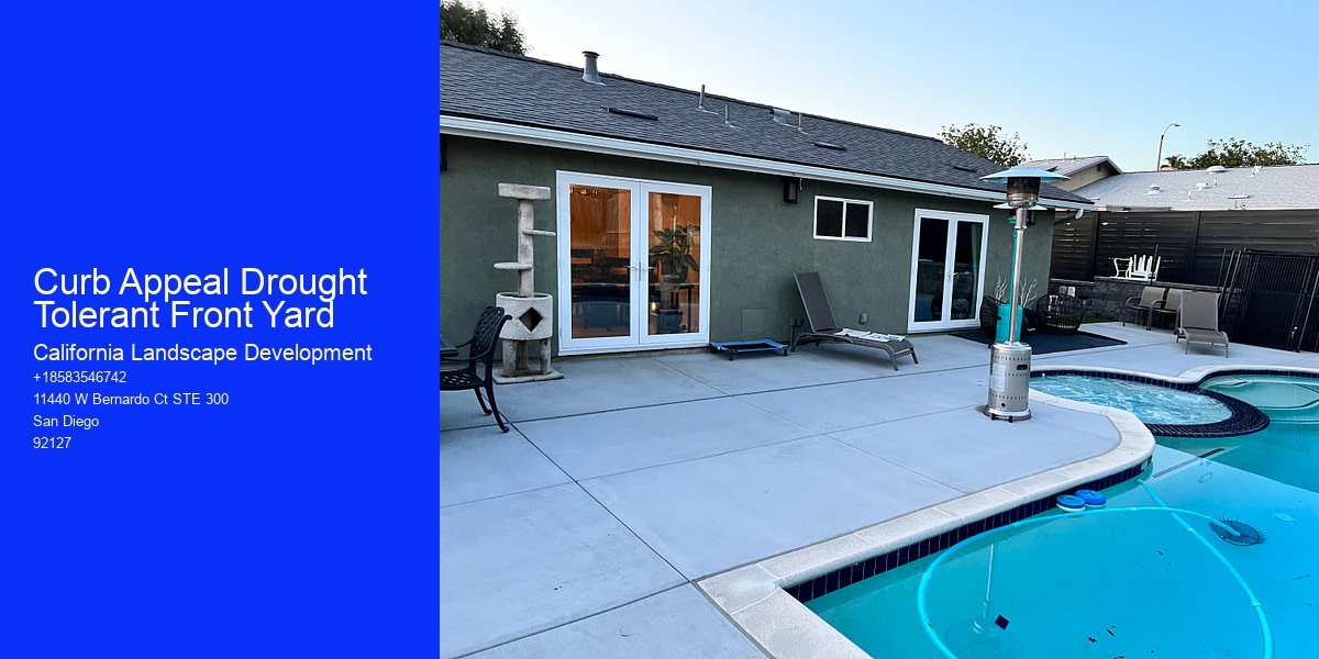 Curb Appeal Drought Tolerant Front Yard